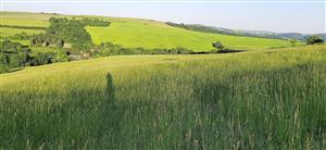 pohľad na lokalitu, odpovedá umiestneniu fotografie z predchádzajúceho monitoringu tejto lokality