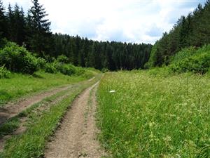 pohľad na lokalitu