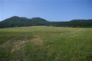 Celkový pohľad na biotop smerom na J