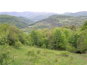 sukcesne zmenená juhovýchodná časť TML