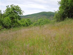 neskoro jarný aspekt