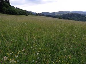 Pohľad na lokalitu, horná časť