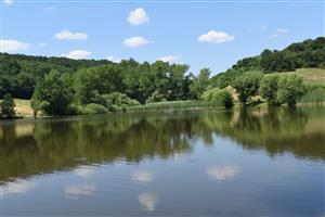 Rybník pri Hrušove, celkový záber