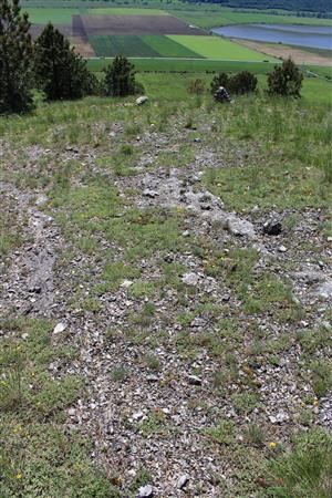 Záber na monitorovaný biotop. 