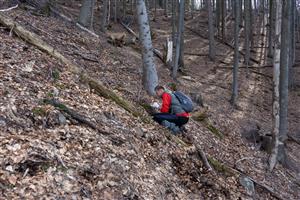 TMP 068_9 výskyt 1 ks druhu