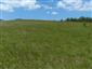 Suchomilné travinnobylinné a krovinové porasty na vápnitom podloží (*dôležité stanovištia Orchideaceae) (15.6.2014)