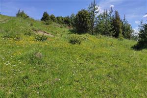 Pohľad na TML_6210_317_2
