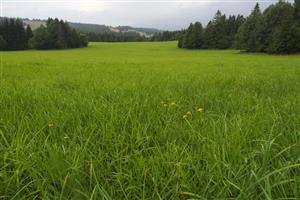 pohľad na plochu, východná časť, pohľad smerom na západ