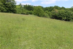 pohľad na TML-východná časť