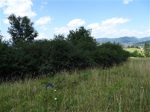 Charakter biotopu s permanentne inštalovanými tubusmi St06a St07