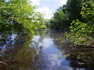 TML počas vysokého stavu vody
