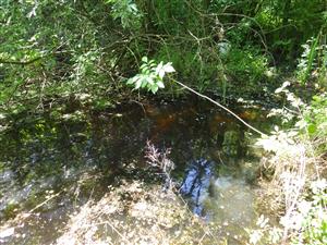 TML, interiér ramena paleopotamon