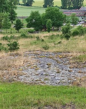 Pohľad na spoločenstvo TML_6110_111