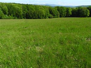 Pohľad na lokalitu SV smerom.