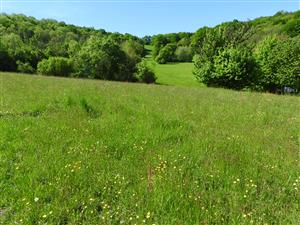 Lokalita na južnej časti.