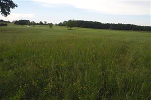 celkový pohľad na lokalitu