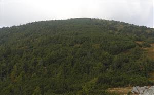 celkový pohľad na východnú časť TMl od sedla Priehybka