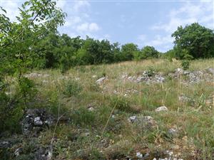 TMP2_TML_StenEura_006