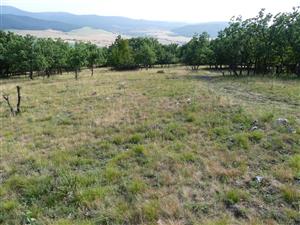 TMP1_TML_StenEura_003