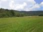 bystruška potočná (19.8.2014)