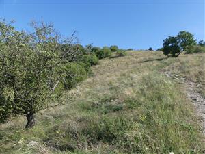 TMP1_TML_StenEura_009