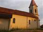 netopier pozdný / večernica pozdná (25.7.2021)
