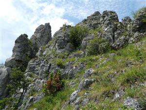 pohľad na lokalitu