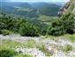 Nespevnené karbonátové skalné sutiny montánneho až kolinného stupňa (30.6.2021)