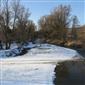 Vydra riečna  (19.1.2022)