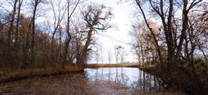 Pohľad na TML Veľký les, JV rybníček, jazierko, foto: 18.11.2021, J.Lengyel.
