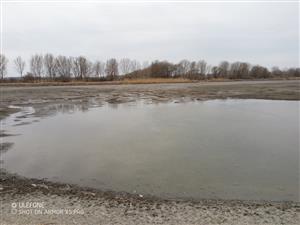 Pohľad na južný Číčovský rybník, TML, výskytové biotopy Lutra lutra. Foto: 15.3.2022, J.Lengyel.