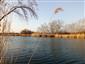 Pohľad na bývalé rameno Žitavy, TML Virtské jazero, JZ časti, foto: 24.3.2022, J.Lengyel.