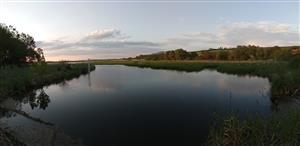 Pohľad na TML Žitavský luh, foto: 9.5.2022, J.Lengyel.