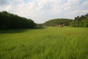 Celkový pohľad na izolovanú - západnú časť biotopu, pohľad na S