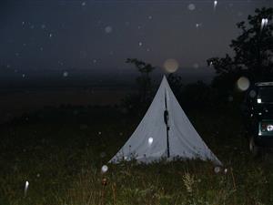 svetelný lapač