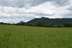 pohľad na TML - časť pred pásom krovín zo smeru od Turian