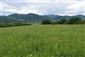 pohľad na lúku za pásom krovín v smere od Turian
