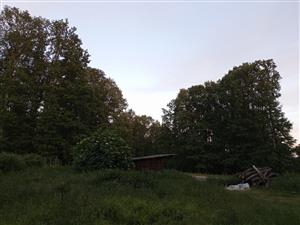 Pohľad na časť TML Burda, biotopy Lucanus cervus, časť Tri Studničky, dubiny, foto: 1.6.2022, J.Lengyel.