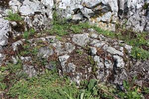 Záber na monitorovaný biotop. 