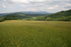 Celkový pohľad na biotop smerom na SZ