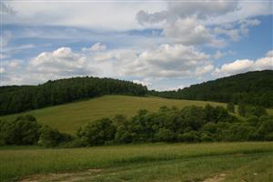 Celkový pohľad na biotop smerom na SSZ