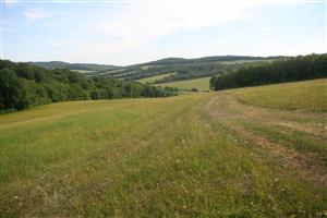 Celkový pohľad na biotop smerom na J