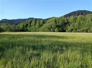 pohľad na záver TML