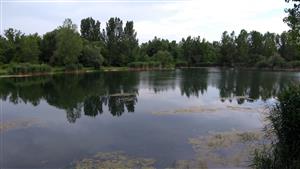 Celkový pohľad na mapovaný biotop.