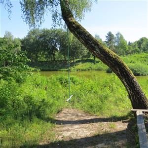 biotop na lokalite