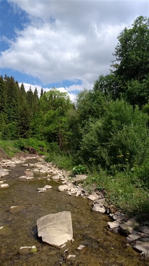 Pohľad na mapované brehové porasty horských tokov