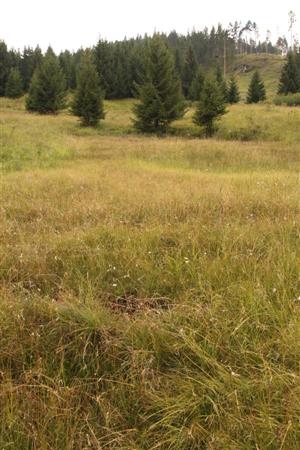 pohlad na takmer celu TML v J smere