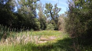 Celkový pohľad na monitorovaciu lokalitu.