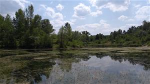 Celkový pohľad na mapovaný biotop.