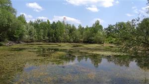 Celkový pohľad na monitorovaciu lokalitu.